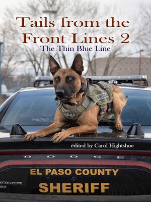 cover image of Tails From the Front Lines 2